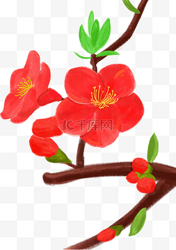 手绘花卉海棠花开png