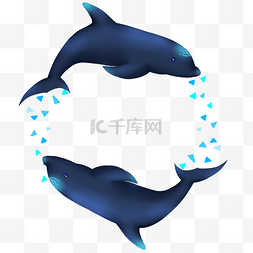 海豚水中动物