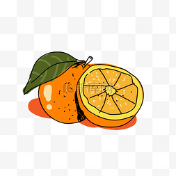 手绘橙色水果图片_手绘速写橙子PNG