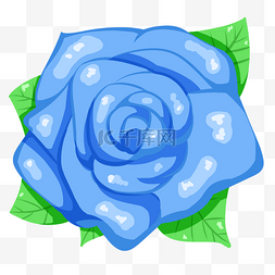 玫瑰花绿色叶子图片_蓝色的情人节玫瑰花