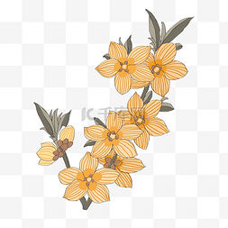小插图植物花卉图片_中国风手绘花卉插图