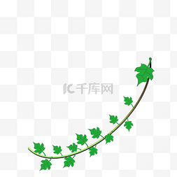 植物枝杆图片_绿叶藤蔓
