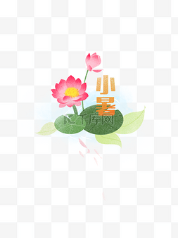 小暑荷花开元素