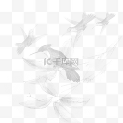 小鸟背景图图片_植物动物背景设计素材