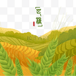 芒种节气稻田小麦插画