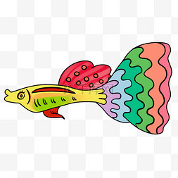 彩色鱼类图片_鱼类孔雀鱼