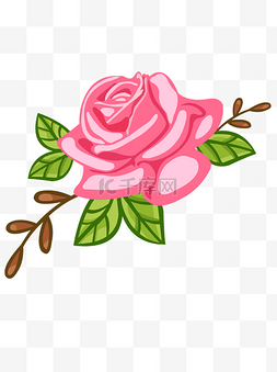 手绘花卉粉红玫瑰花矢量素材