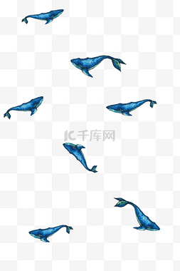 手绘生动鲸鱼漂浮素材