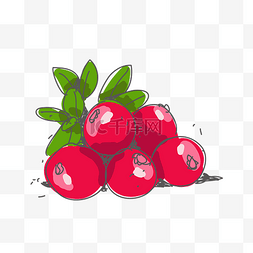 水果香果图片_手绘蔓越莓矢量图片