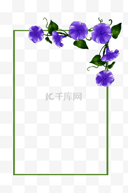 夏日花边框图片_牵牛花边框