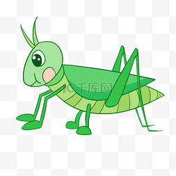 可爱夏季小昆虫蚂蚱插画
