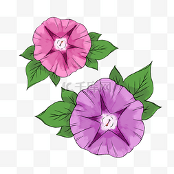 手绘粉色紫色花朵插画