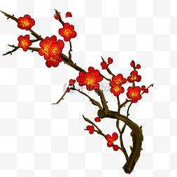 梅花花卉大红手绘图