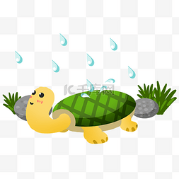 可爱小乌龟图片_爬行的小乌龟