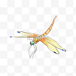 飞翔黄色图片_手绘黄色蜻蜓插画