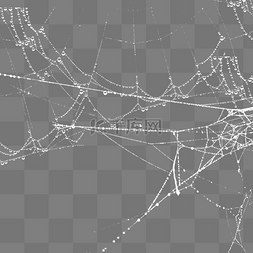 蜘蛛网手绘图片_蜘蛛网网子蜘蛛网元素