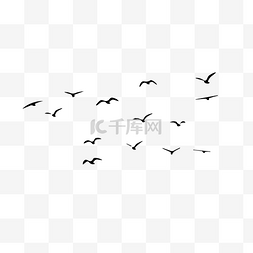 乌鸦反哺图片_一群飞过的鸟