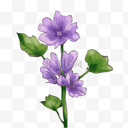手绘紫色的鲜花插画