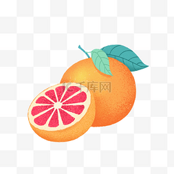 水果葡萄柚橘黄色手绘免扣装饰元