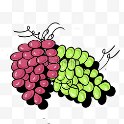 葡萄叶子图片_食品维生素