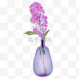 花瓶免抠图图片_紫色系盆栽png图
