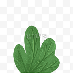 绿色植物枝叶图片_绿色植物枝叶