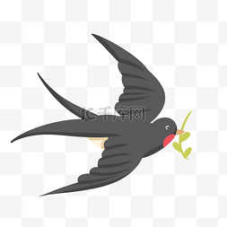 展翅飞翔的燕子图片_展翅飞翔的燕子