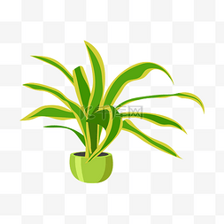 黄色绿色植物插图