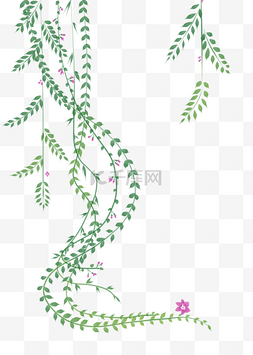 春天的花藤图片_花藤植物生长插画