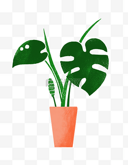 卡通植物免费图片_手绘小清新龟背竹盆栽下载免费下