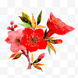 花朵手绘花朵图片图片_红色的桃花手绘