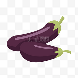 一株茄子图片_紫色的茄子手绘插画