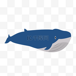 河里的鱼图片_鲸鱼矢量插画PNG