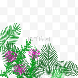 旅行元素装饰图片_矢量热带植物边框下载