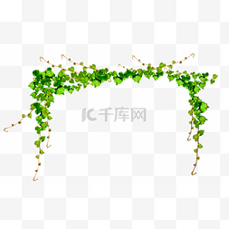 门花园图片_花园中的绿色藤蔓