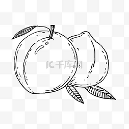 水果矢量图图片_手绘的水蜜桃