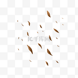 褐色小蚂蚁图片_褐色枯萎花朵树叶