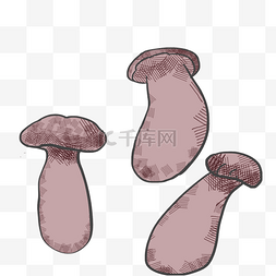 菌类蘑菇