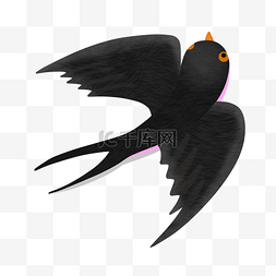 展翅飞翔的燕子图片_手绘春季燕子插画