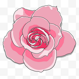 朵玫瑰手绘图片_粉色浪漫情人节七夕花朵玫瑰花