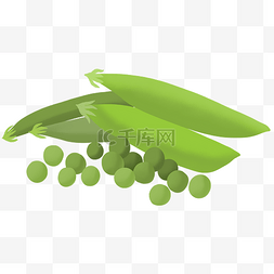  绿色豆类 