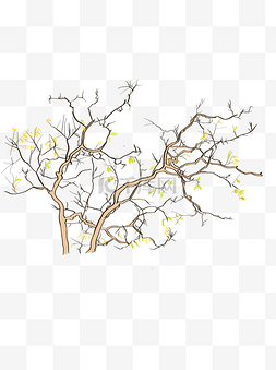 手绘树线描图片_黄绿色秋树树木线描手绘