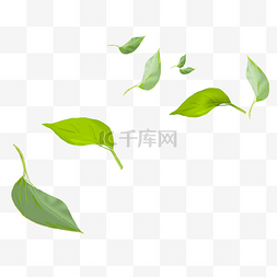 唯美卡通植物图片_唯美卡通绿色树叶插画