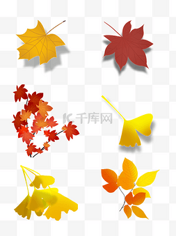 秋叶秋天落叶手绘可商用叶子元素