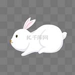 白色的兔子手绘插画