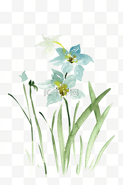 水彩植物免抠素材图片_淡雅的水仙花水彩画PNG免抠素材