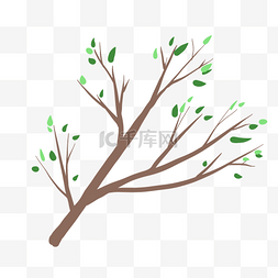 发芽的叶子图片_ 发芽的树枝