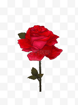 手绘红色玫瑰花元素