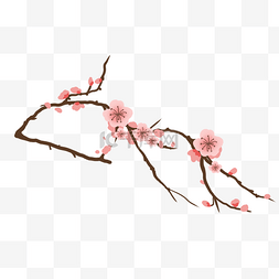 粉色的桃花手绘插画