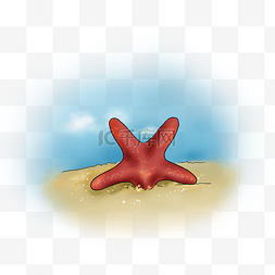 沙滩上的海星图片_ 沙滩上的海星
